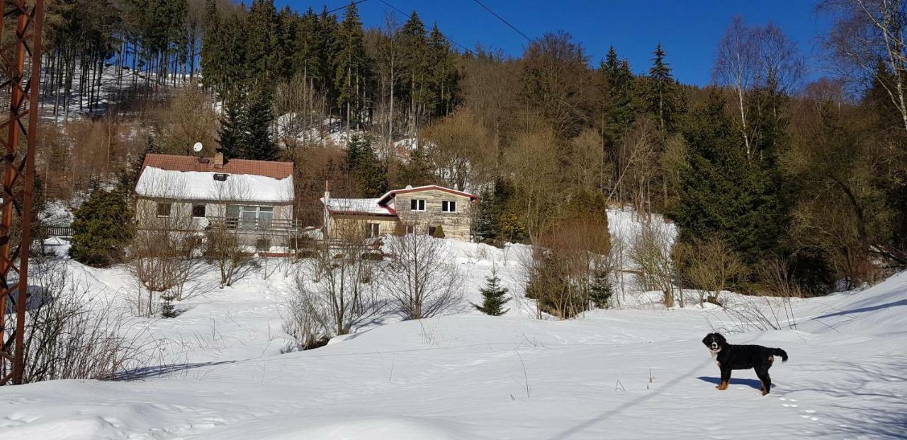 Waldhaus Appartement Jáchymov Buitenkant foto